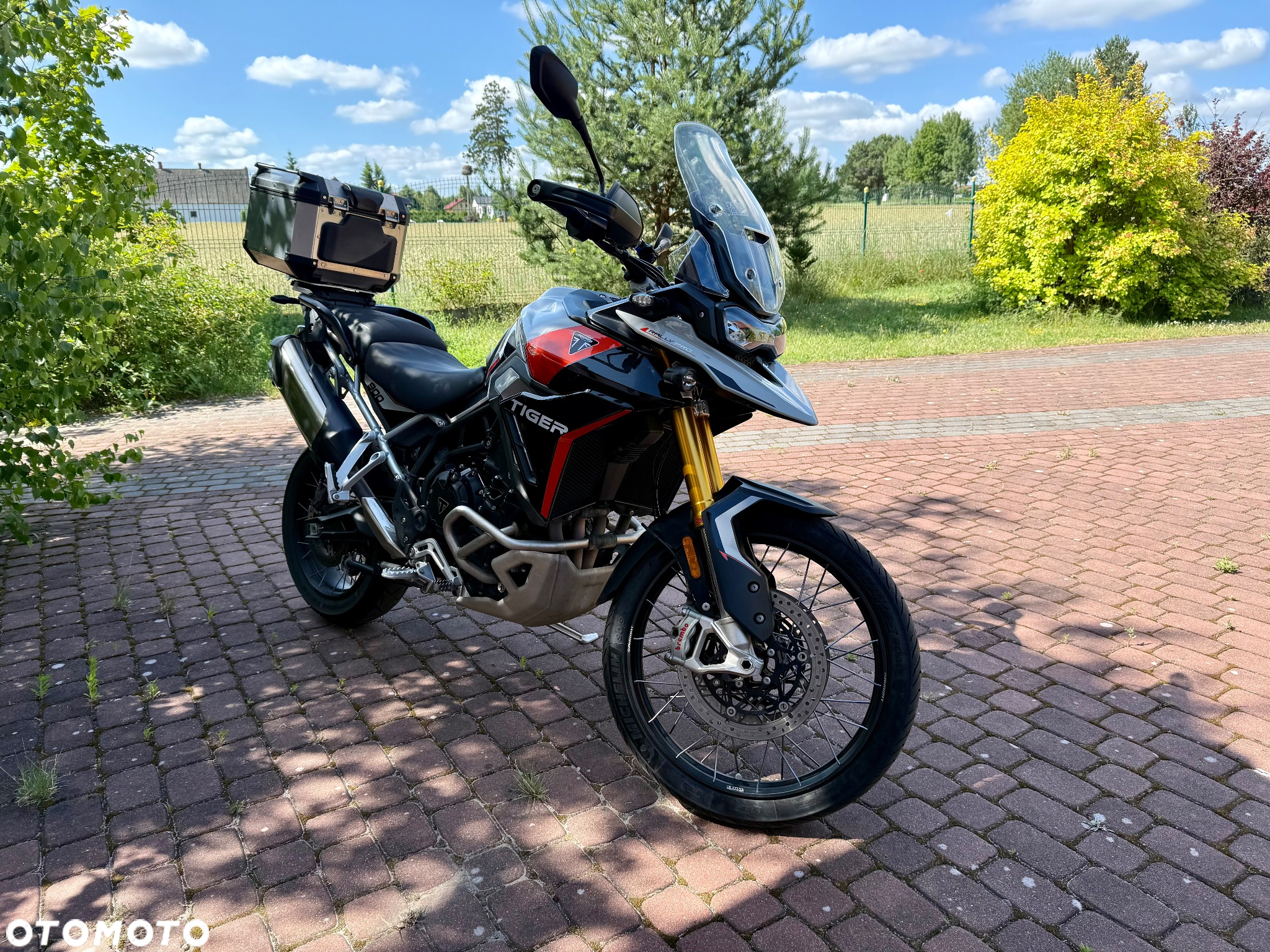 Triumph Tiger