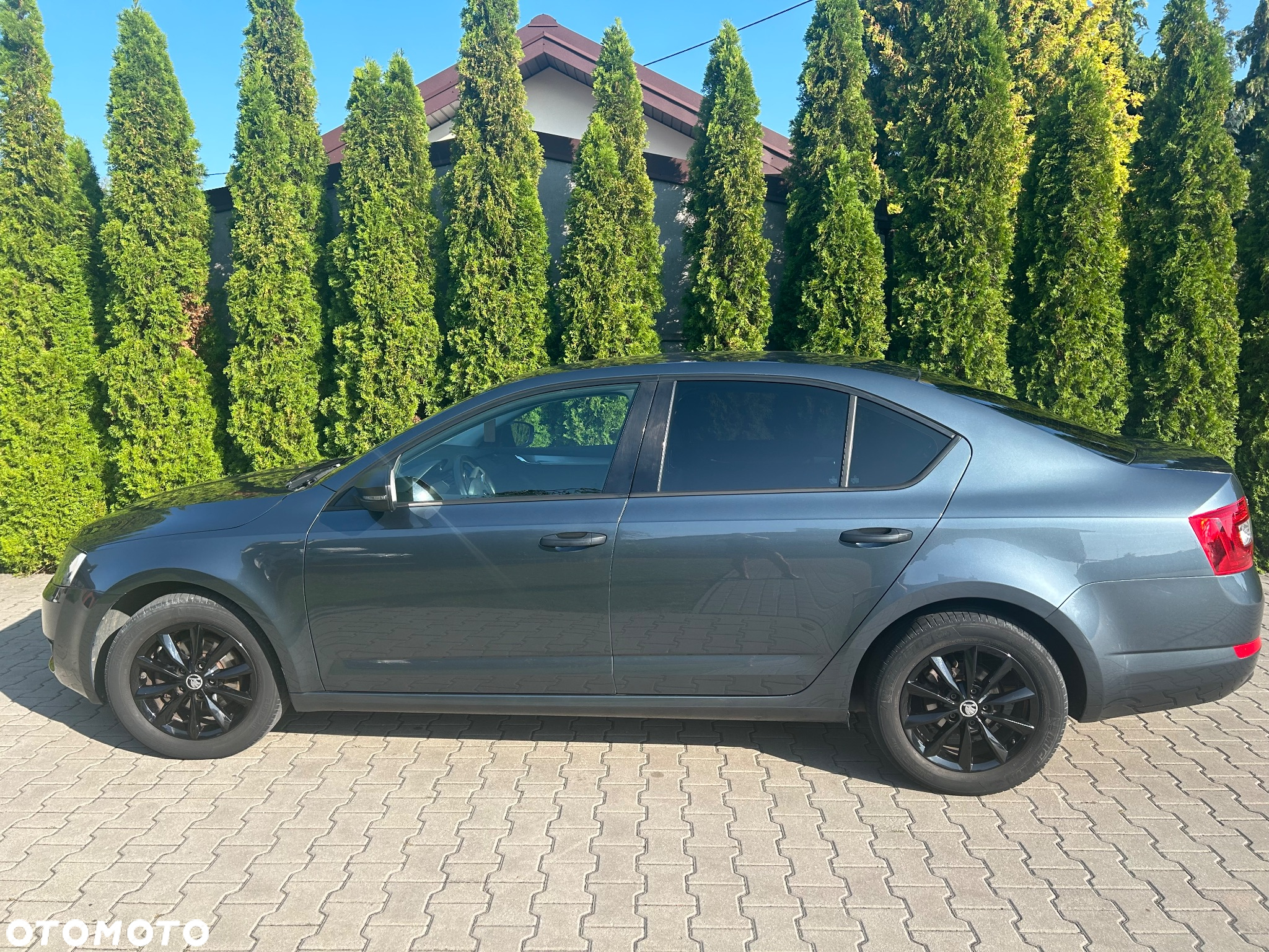 Skoda Octavia 1.4 TSI Active - 2