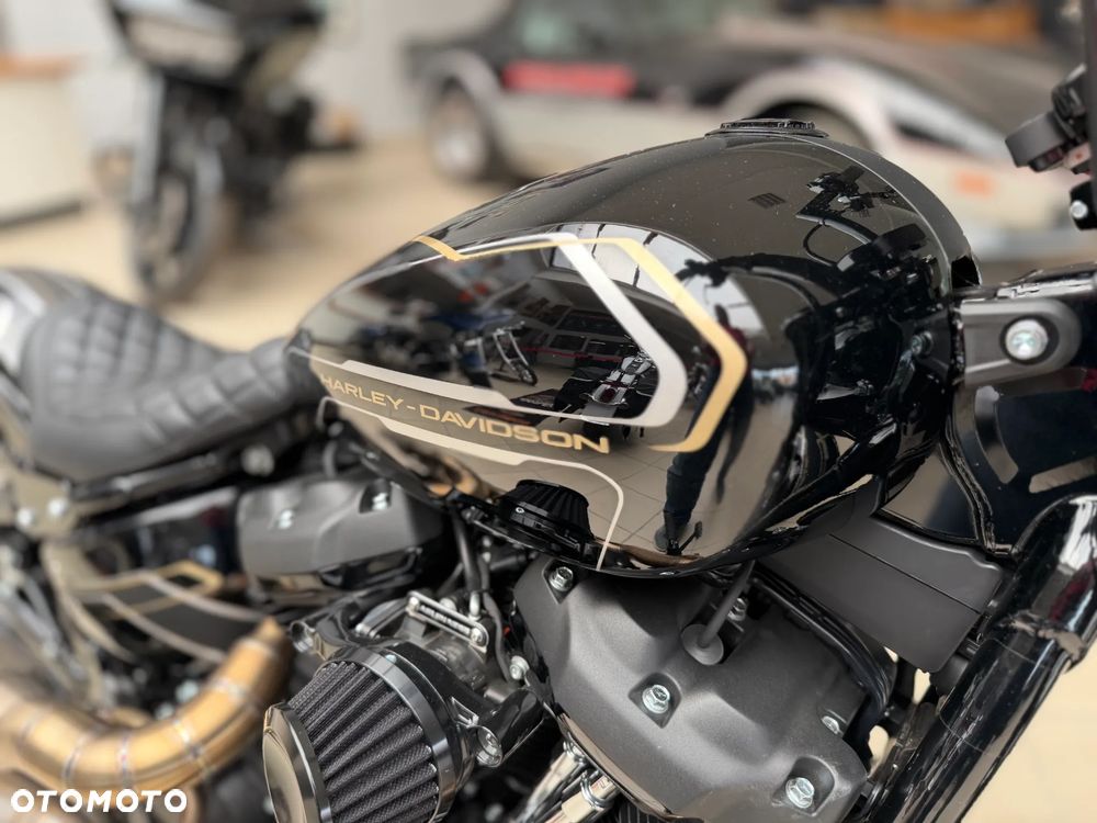 Harley-Davidson Softail - 15