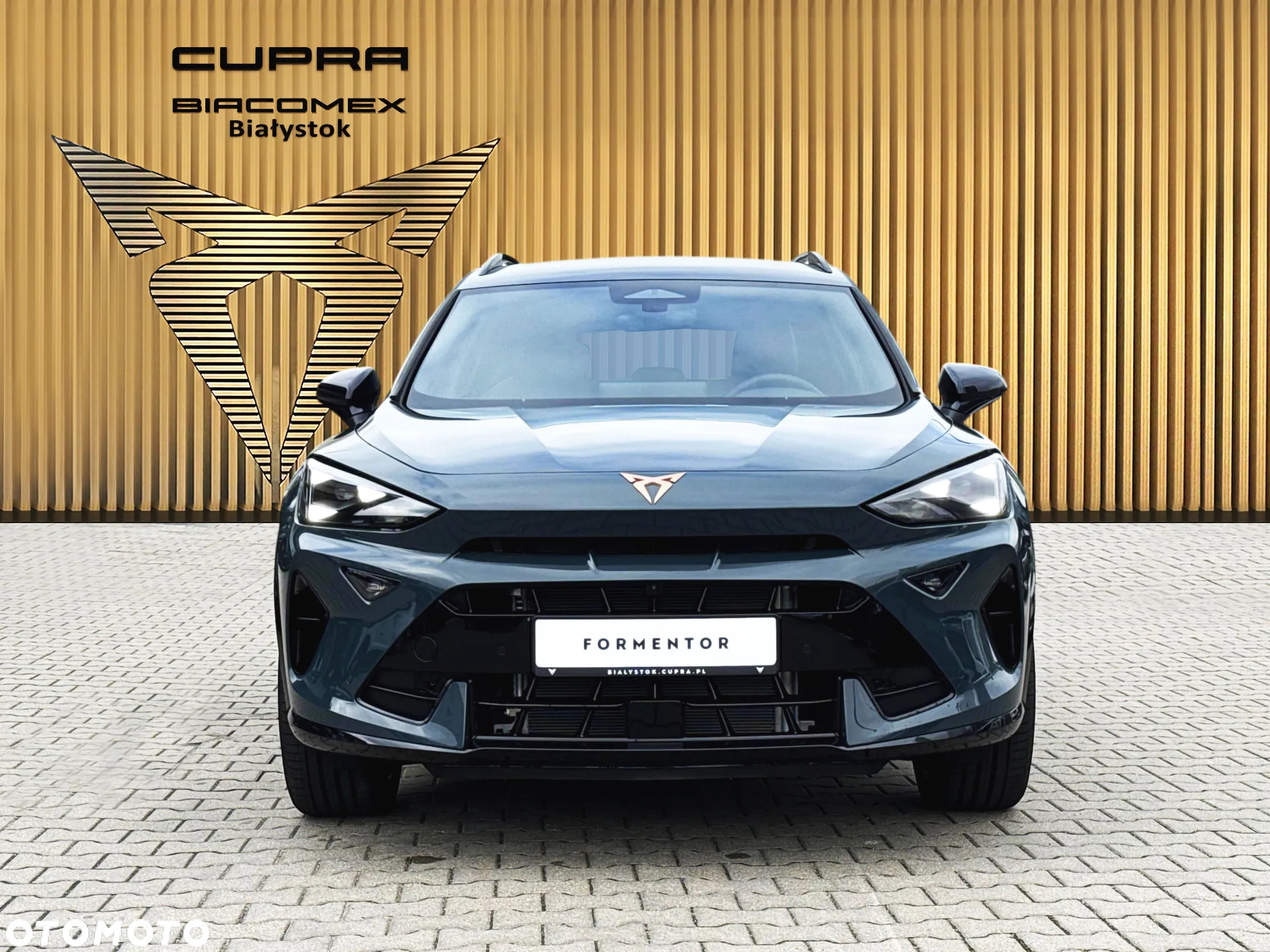 Cupra Formentor 2.0 TSI 4Drive DSG - 9