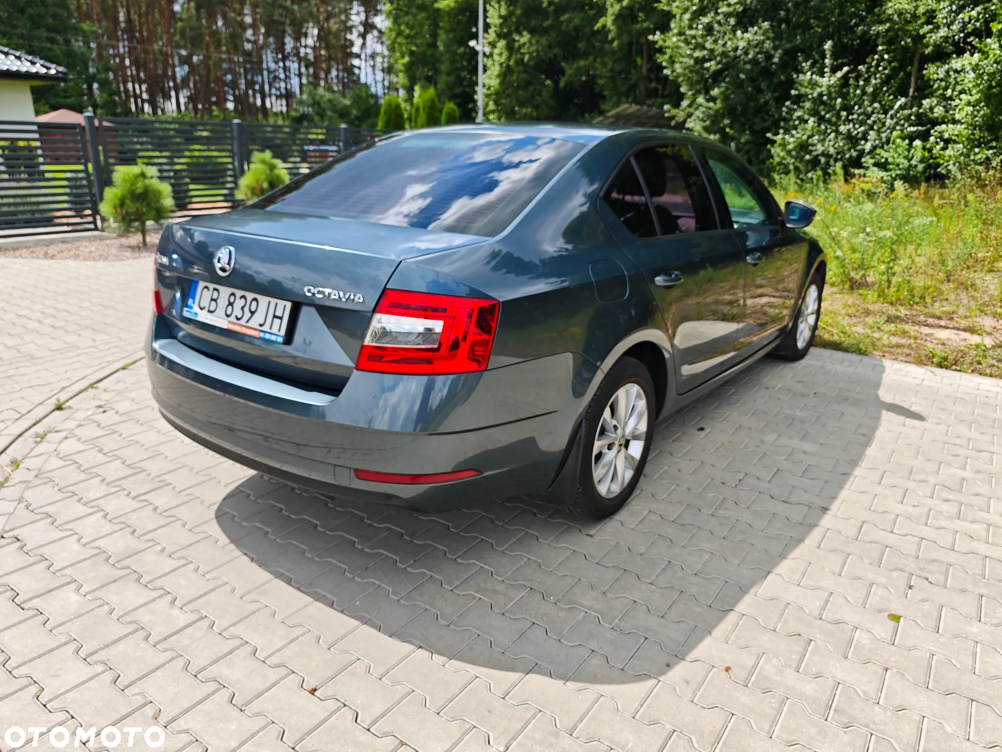 Skoda Octavia 1.0 TSI Active - 3