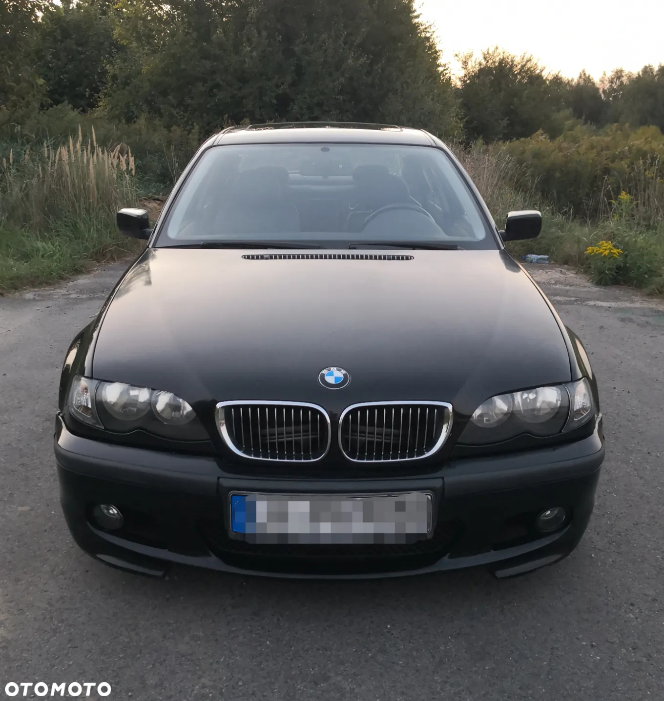 BMW Seria 3 318i - 2