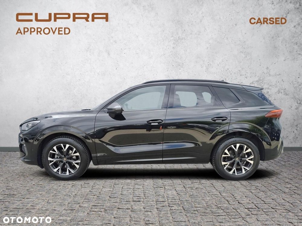 Cupra Terramar - 3