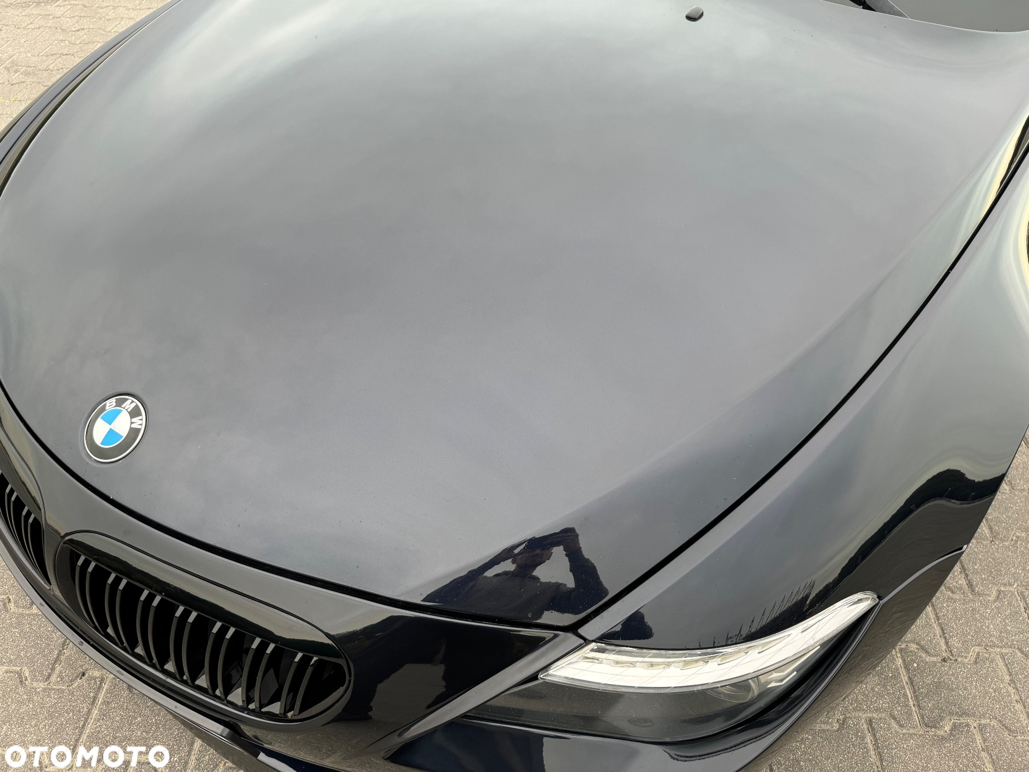 BMW M6 Standard - 31