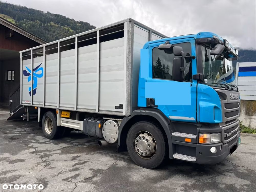 Scania P280 4x2 – Pojazd do przewozu zwierząt VIEHFAHRZEUG / jednopoziomowy  – 171.000 km!! – Euro 5 - 2