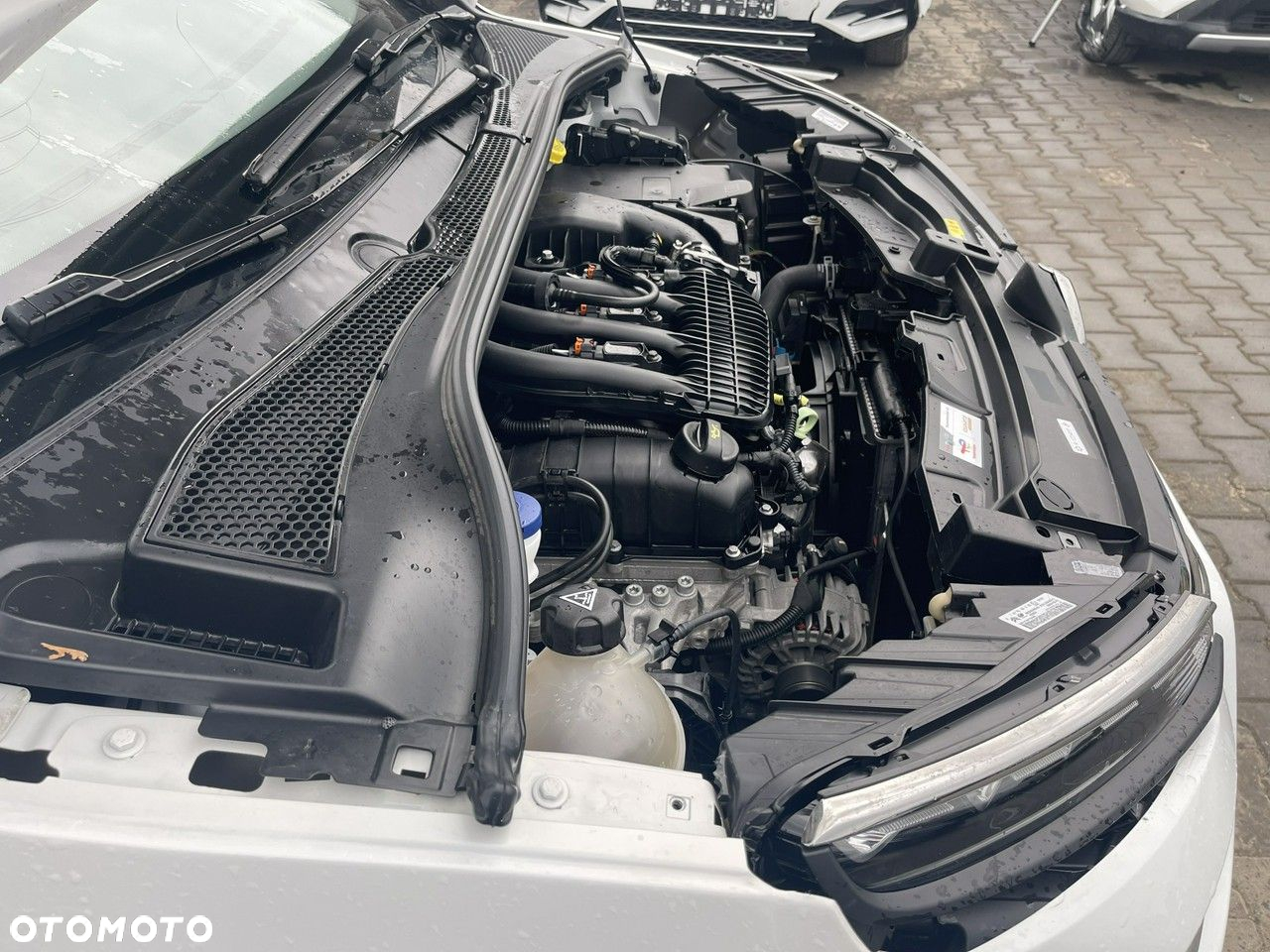 Citroën C3 Pure Tech 83 S&S FEEL - 12