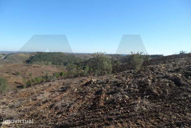 Terreno para fins agrícolas e florestais com 58.315 m2 - Santana da Se - Grande imagem: 3/15