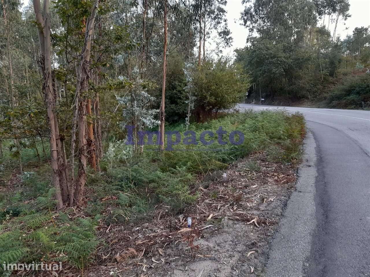 Terreno em Madail, Oliveira de Azeméis - Grande imagem: 2/8