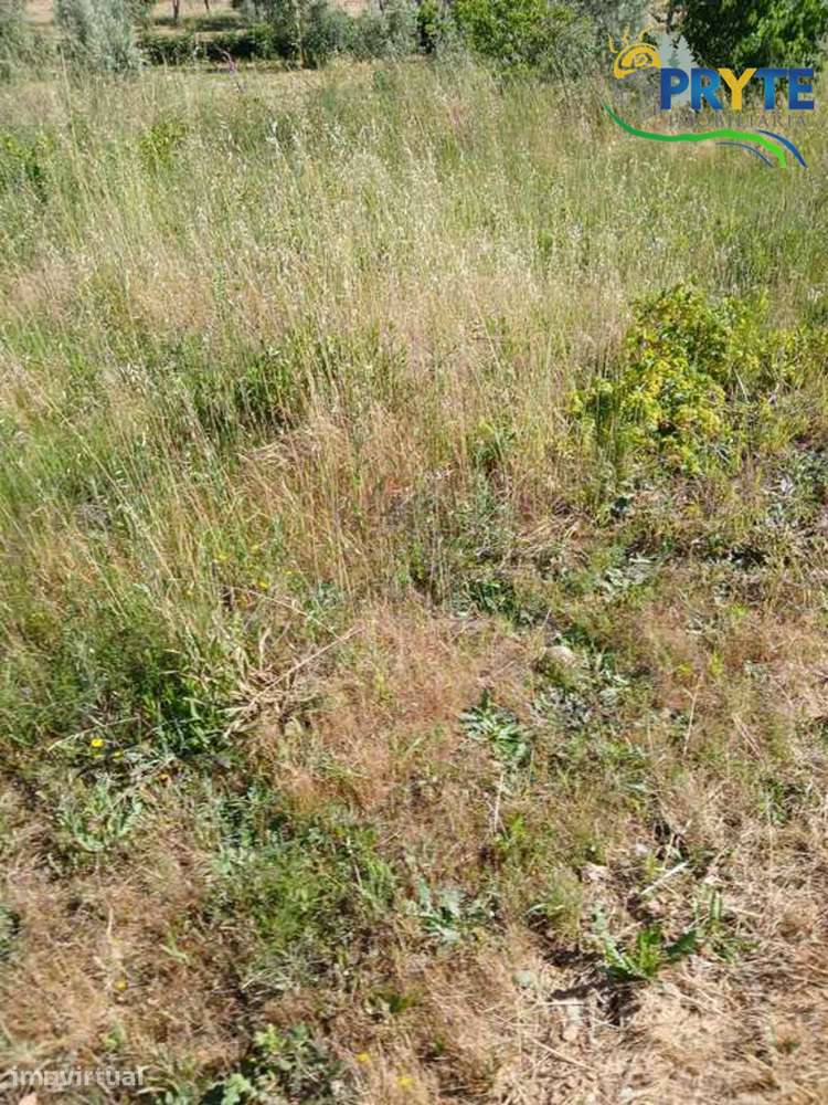 Terreno com possibilidade de construção em Montes da Senhora - Grande imagem: 4/26