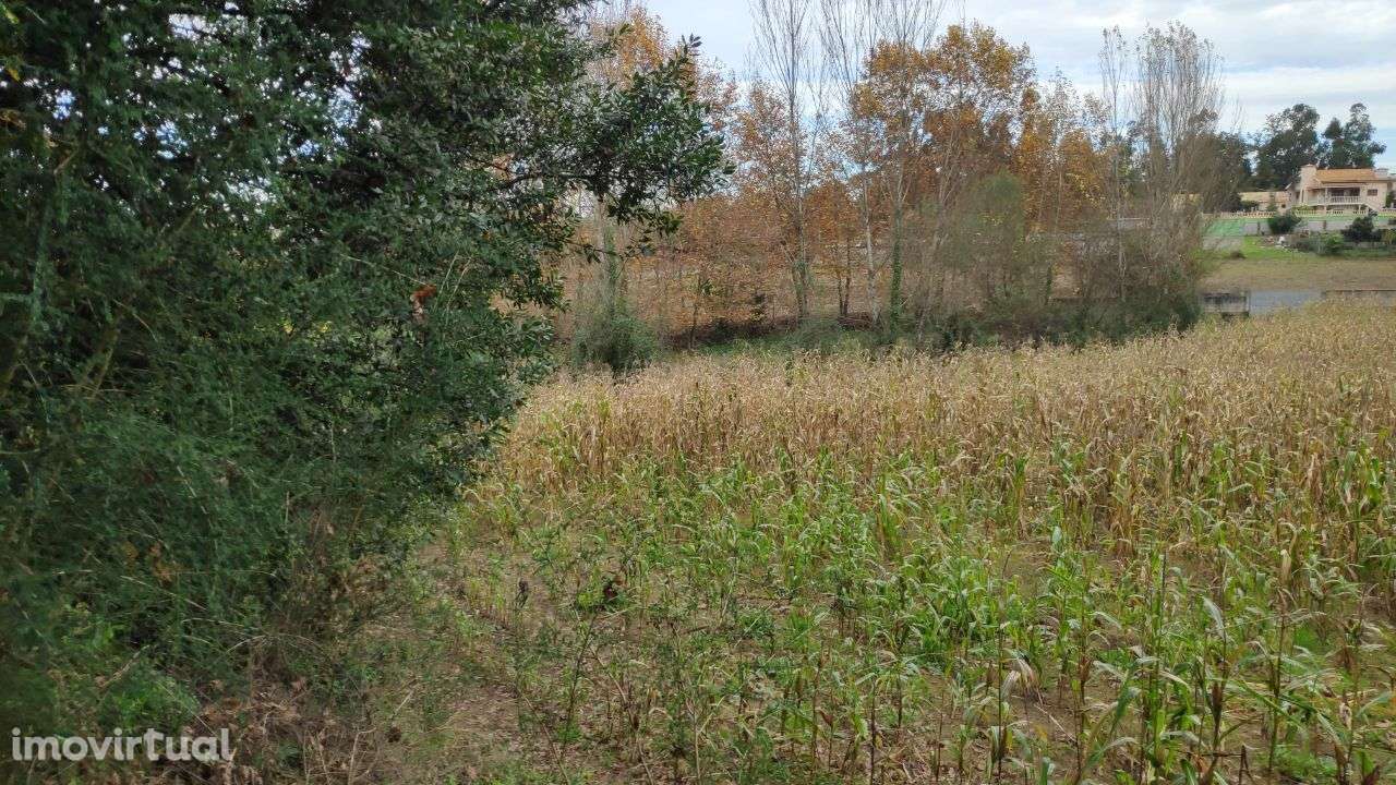 Terreno em Rendufe, Amares - Grande imagem: 2/12