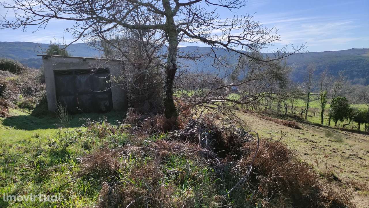 Terreno Rústico  Venda em Gouveia (São Simão),Amarante - Grande imagem: 4/13