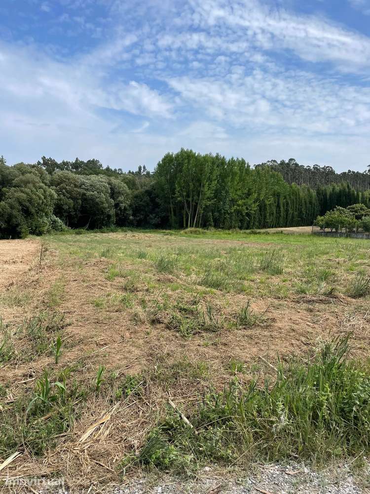 Terreno em Oiã com Vista Campestre, acessos e próximo do centro - Grande imagem: 4/10