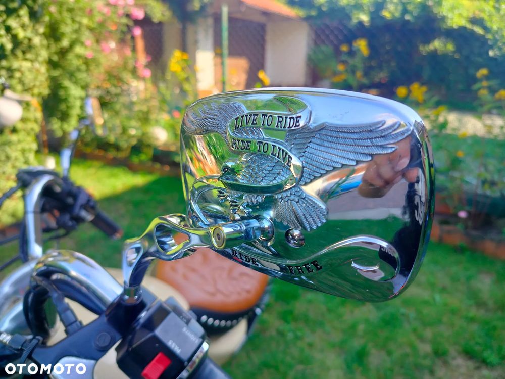 Yamaha Virago - 20