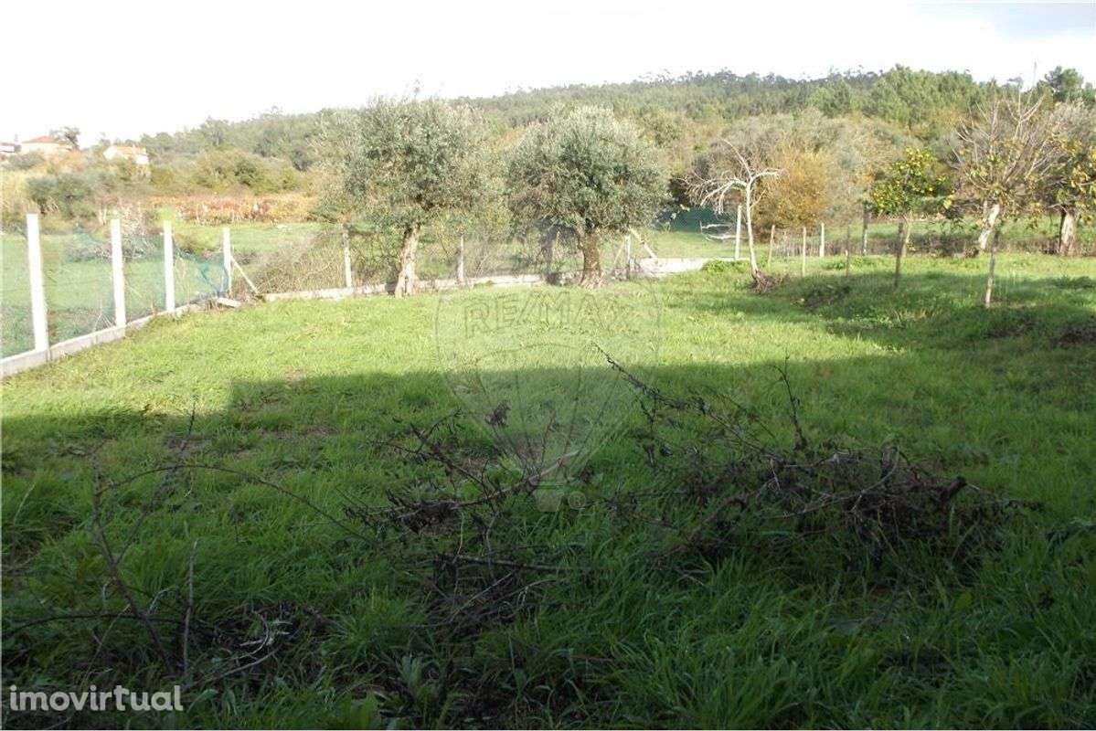 Moradia para recuperação - Grande imagem: 2/15