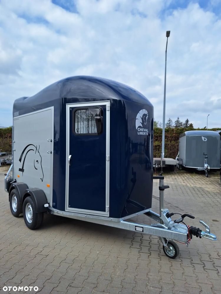 Cheval Liberte Gold Origin Debon - 11