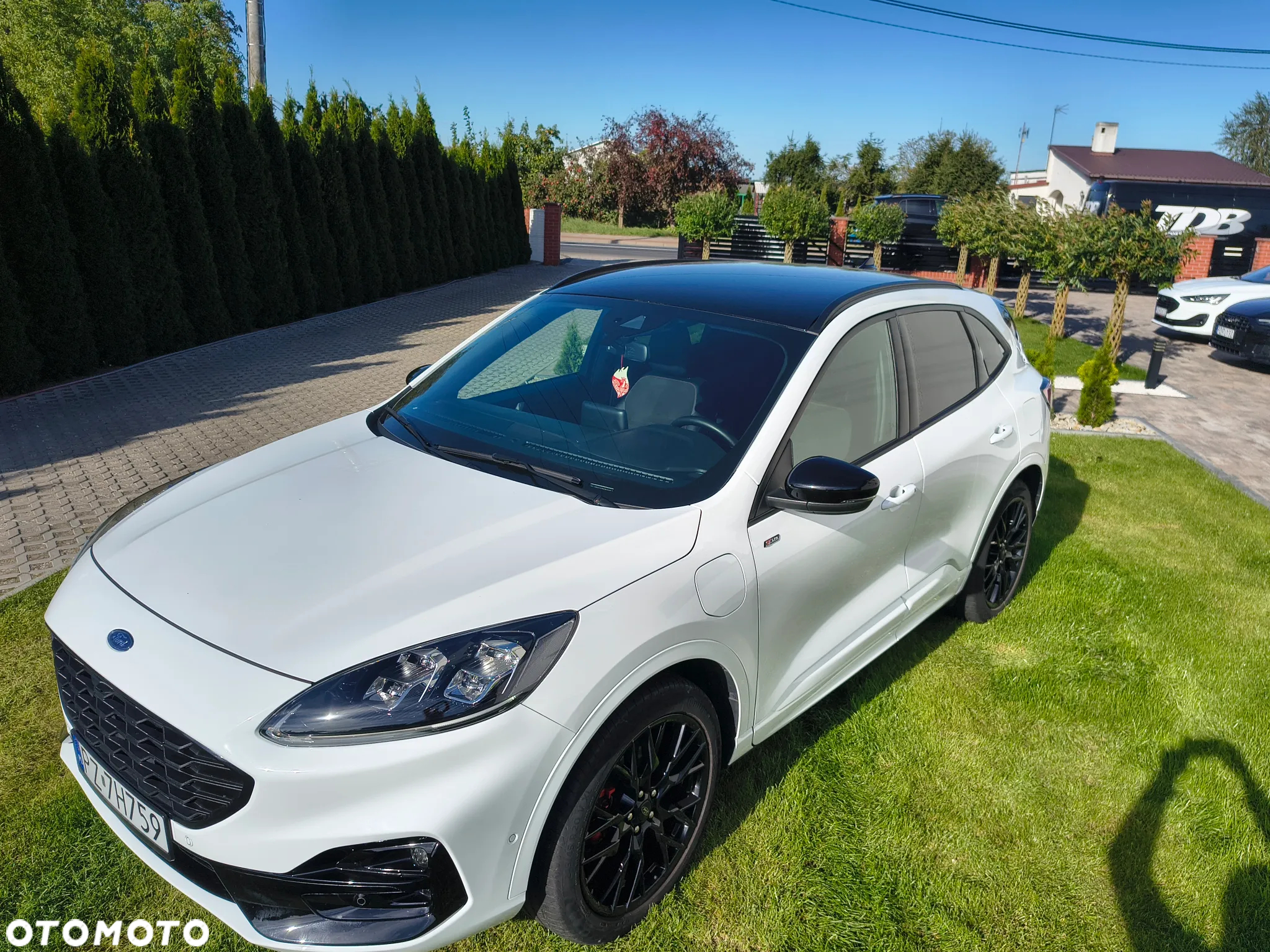Ford Kuga 2.5 Duratec PHEV ST-LINE X - 8