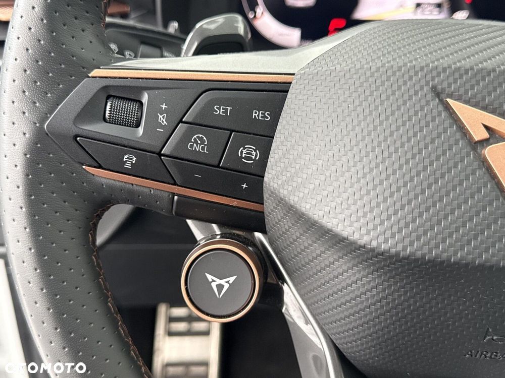 Cupra Terramar 2.0 TSI 4Drive VZ DSG - 24