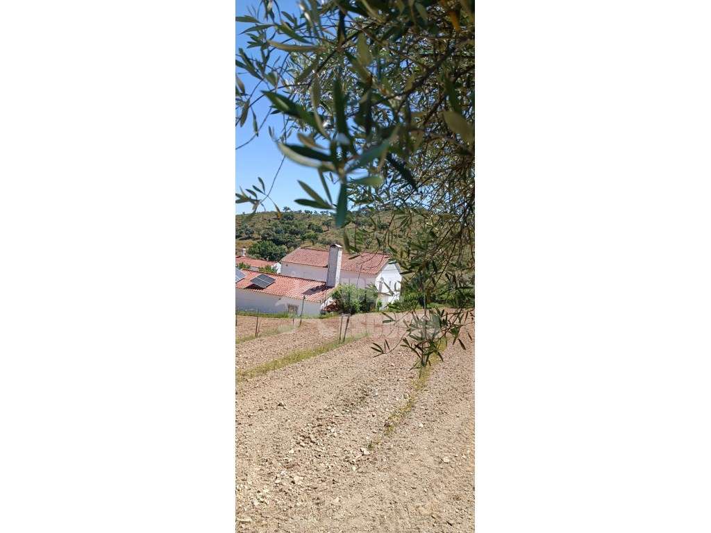 T3 ODEMIRA 379 000€..

MONTE ALENTEJANO ... - Grande imagem: 2/45