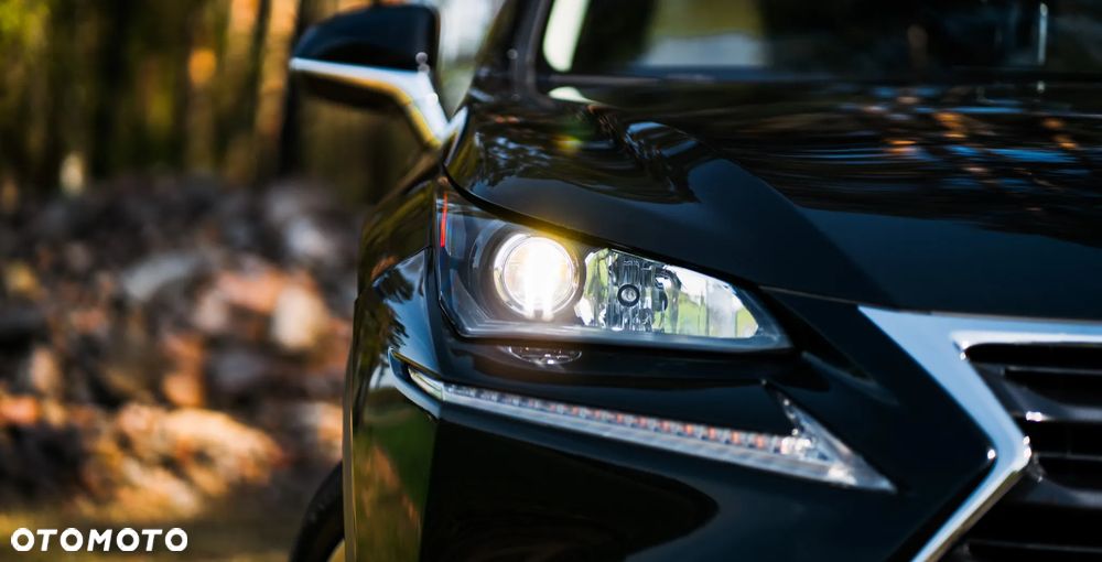 Lexus NX 300 Elegance 2WD - 20