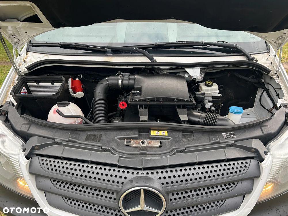 Mercedes-Benz Sprinter 316 cdi automat chłodnia mrożnia Thermoking - 13