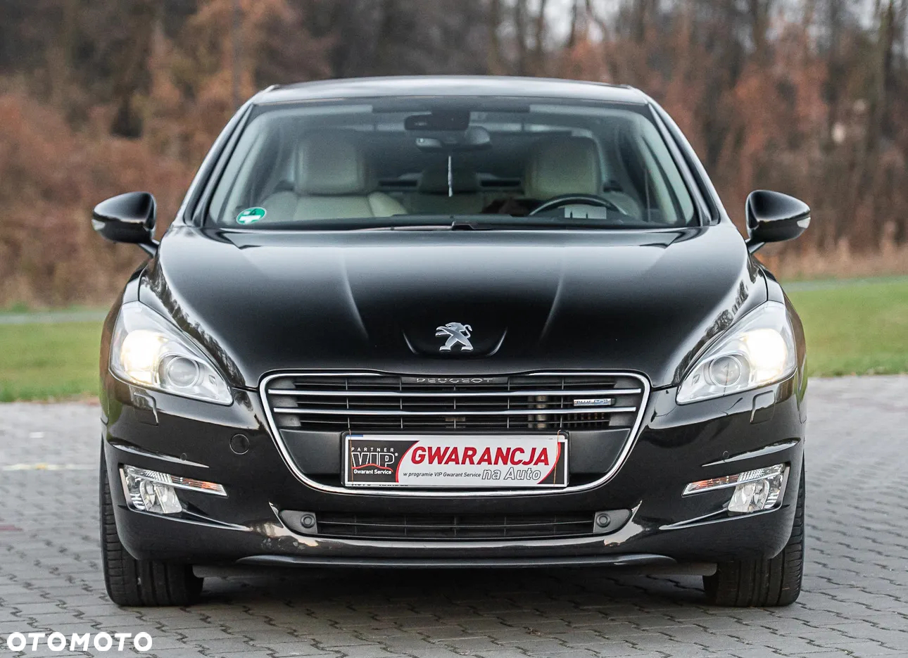 Peugeot 508 - 14