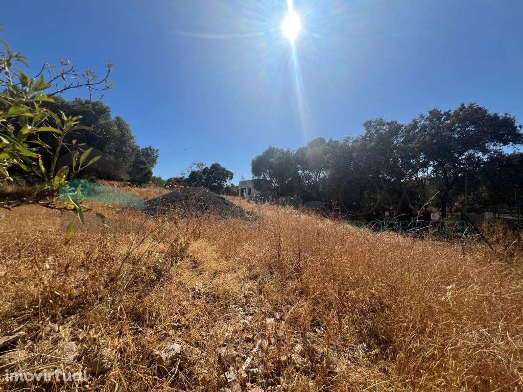 Terreno com projeto aprovado - Goncinha - Grande imagem: 4/10