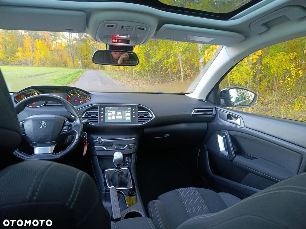 Peugeot 308 1.6 BlueHDi Active S&S - 17