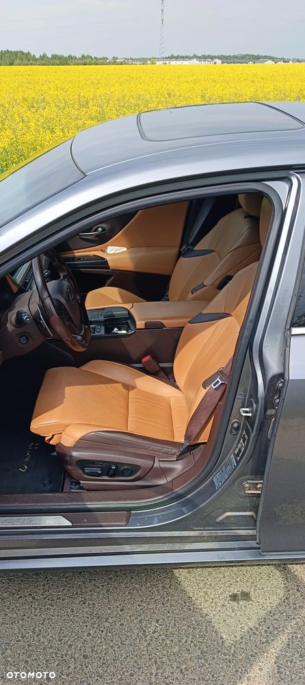 Lexus ES 300h Luxury Line - 10