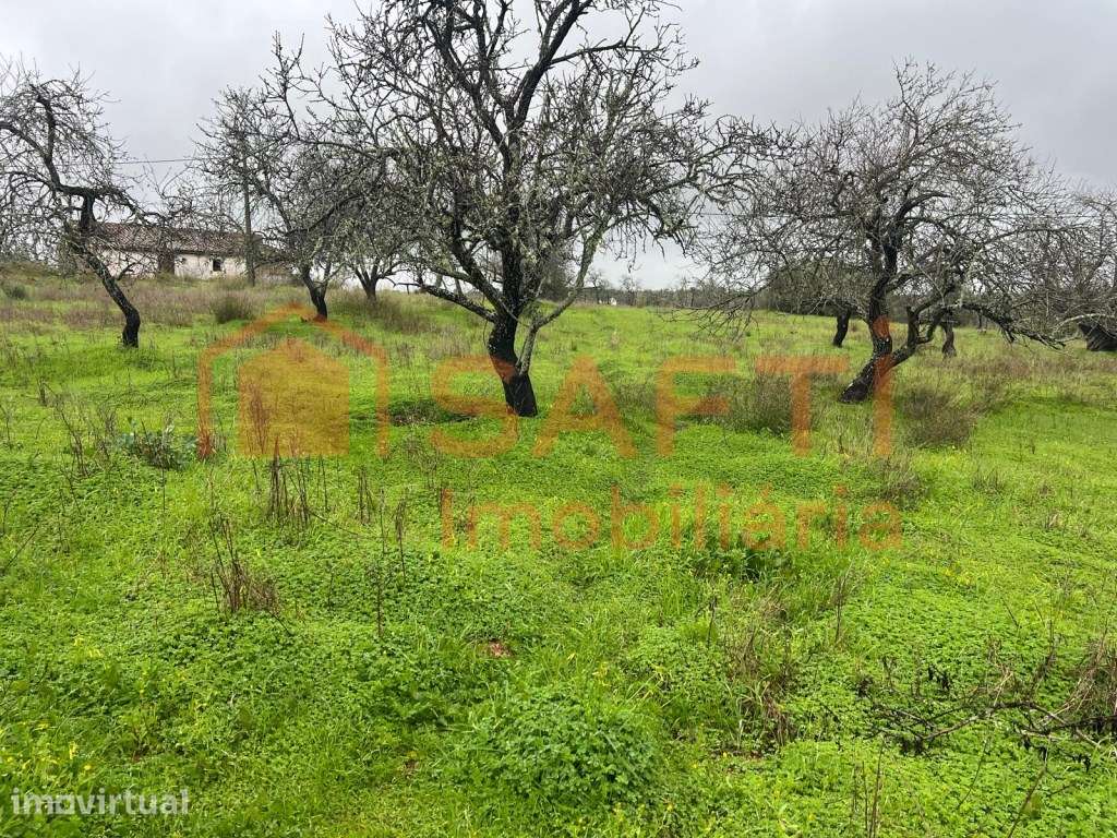 Terreno com projeto aprovado para moradia com piscina em Lagoa - Grande imagem: 3/6