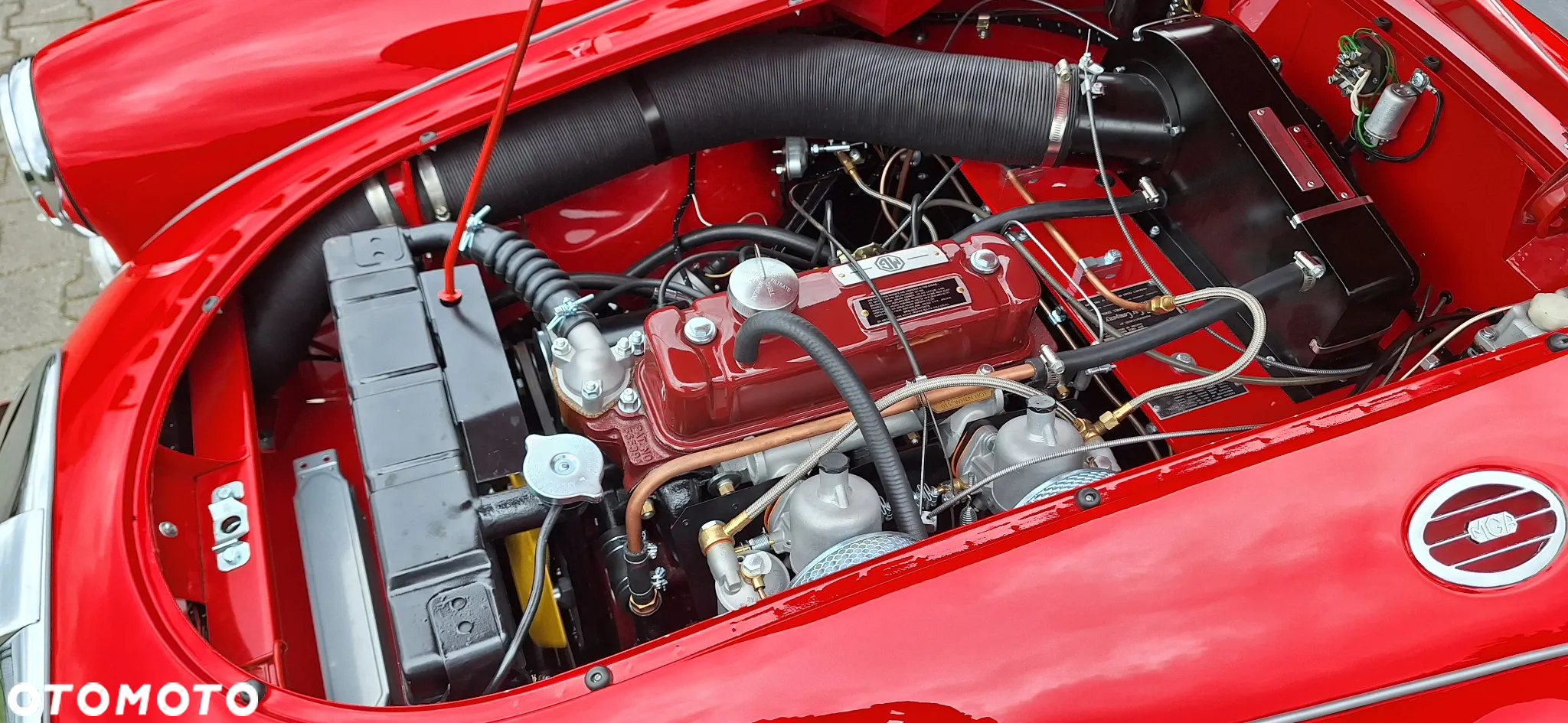 MG Inny - 16