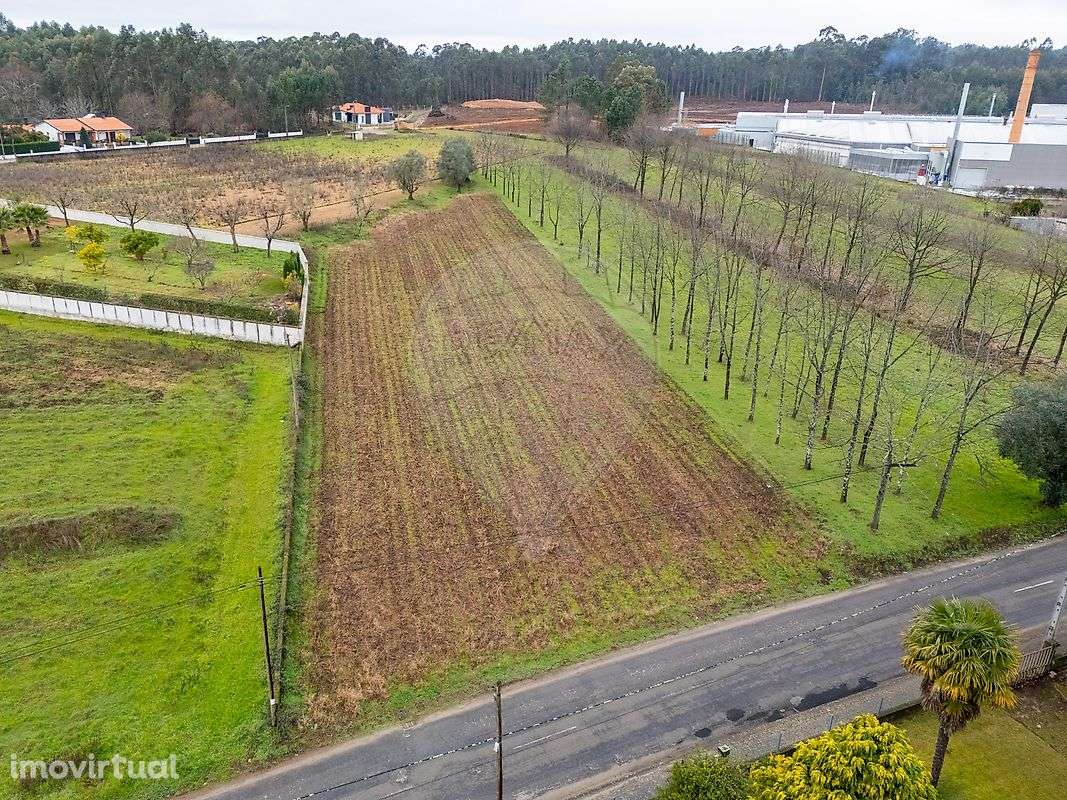 Terreno  para venda - Grande imagem: 4/28