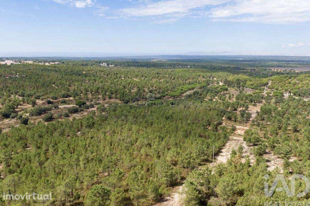 Terreno em Sesimbra (Castelo) de 7500,00 m2 - Grande imagem: 5/6