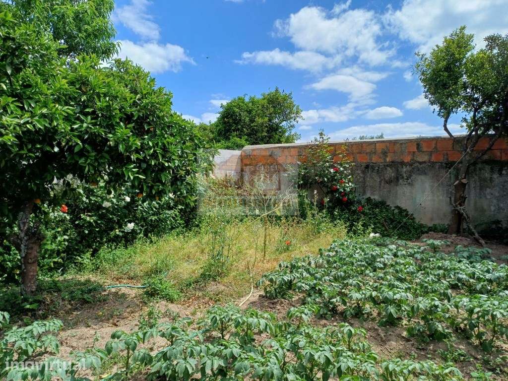 Moradia antiga para renovar - centro - Grande imagem: 2/13