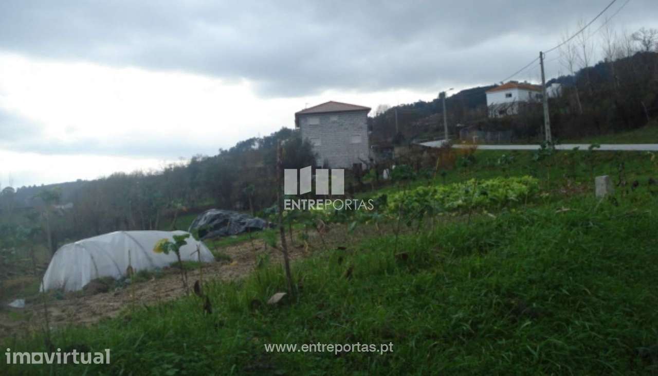 Venda Terreno, junto à estrada, Campelo, Baião - Grande imagem: 5/9