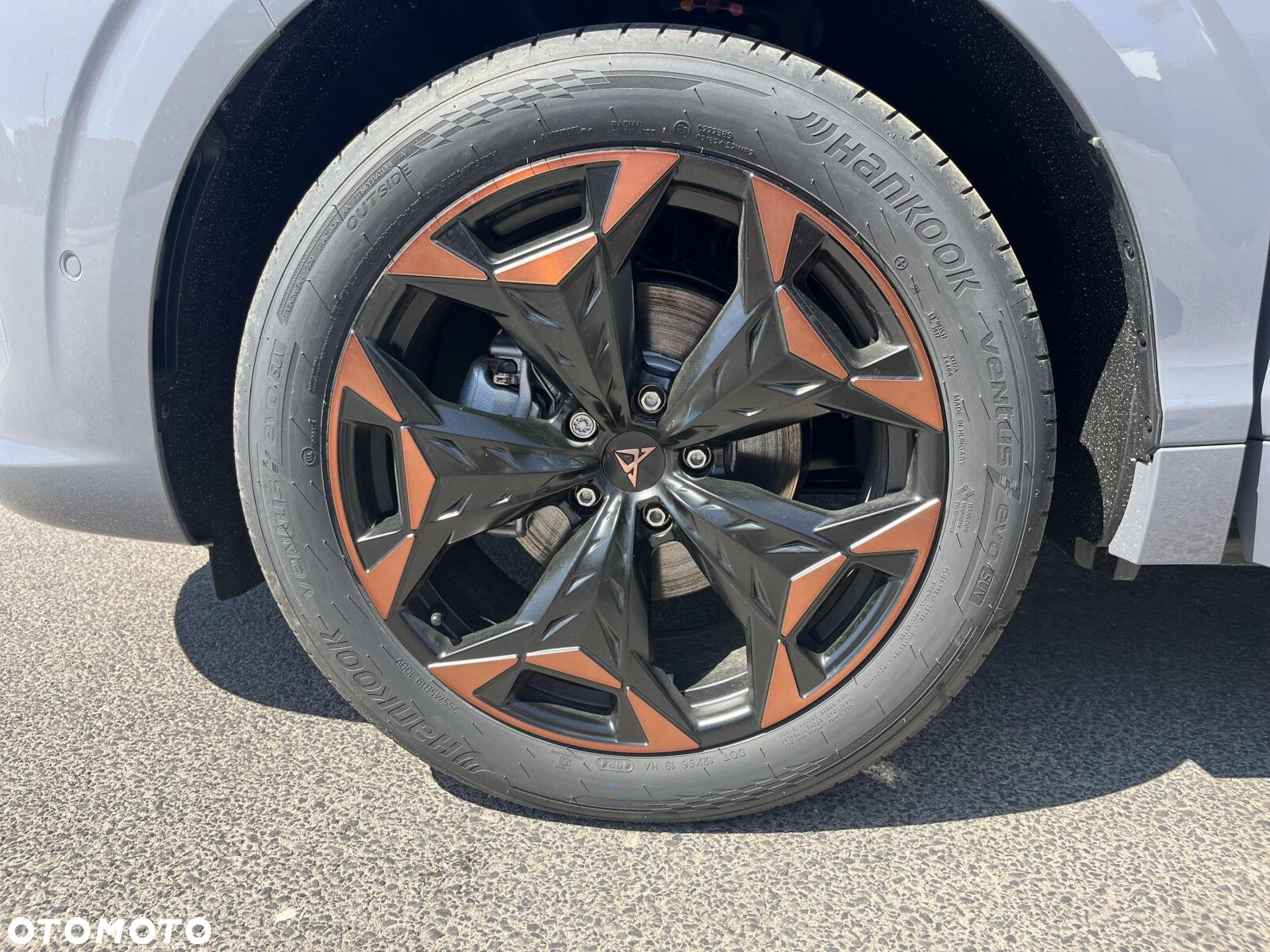 Cupra Terramar - 23