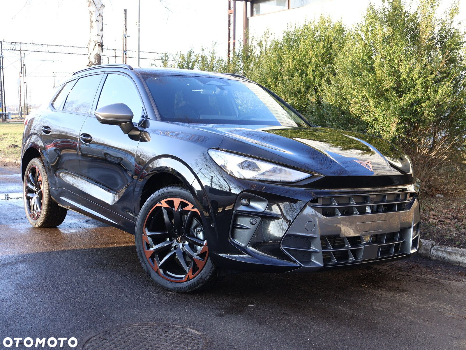 Cupra Terramar 2.0 TSI 4Drive DSG - 17