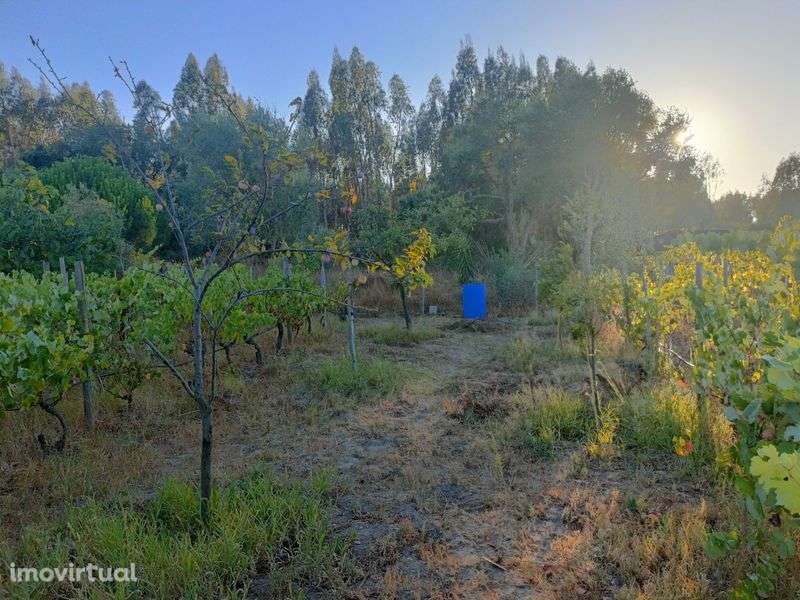 Vende-se terreno rústico - Grande imagem: 3/12