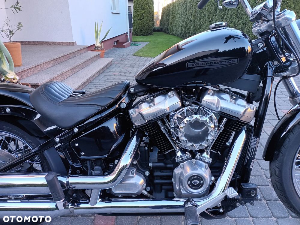 Harley-Davidson Softail Standard - 3