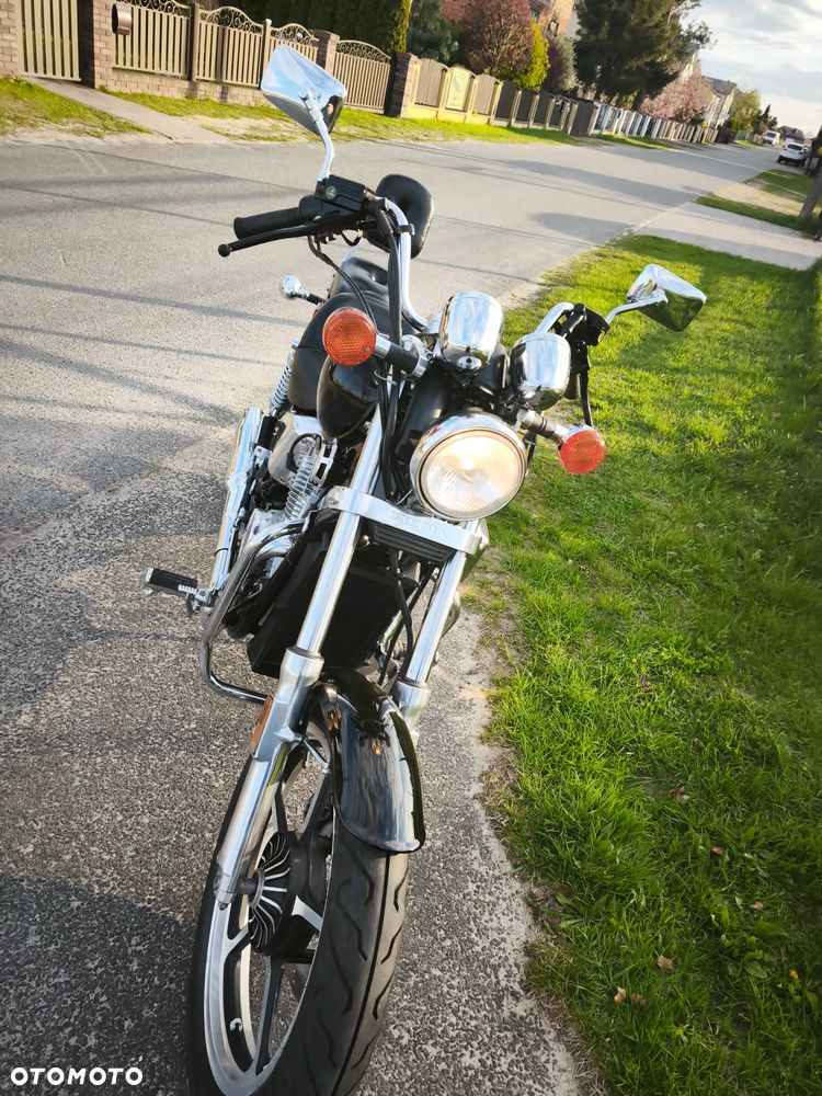 Honda Shadow - 7