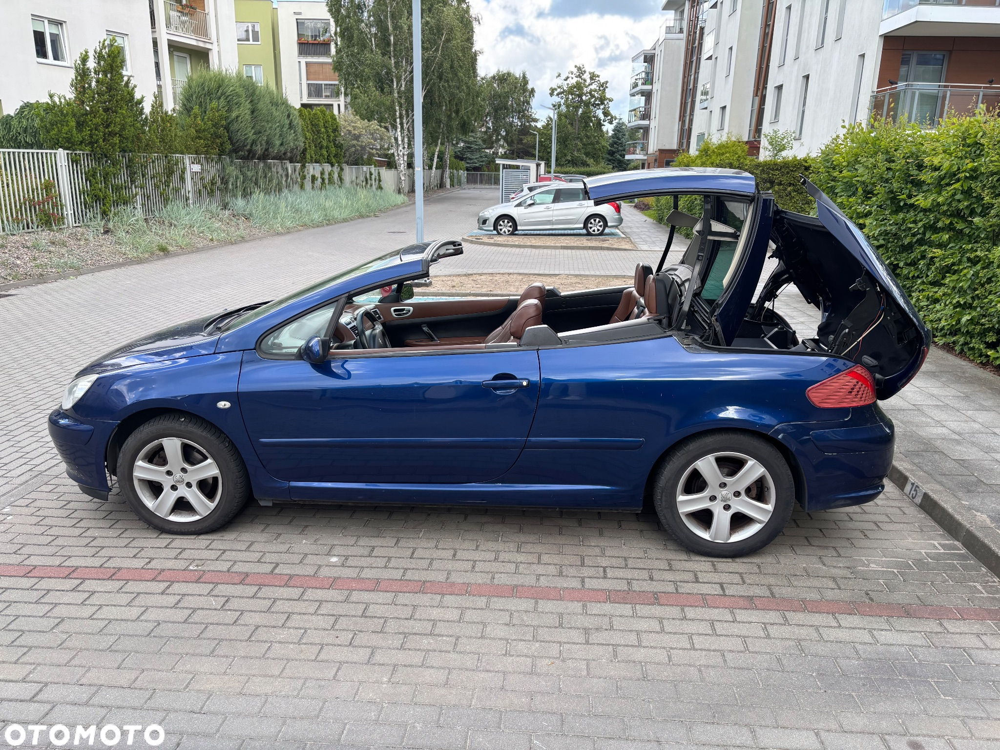 Peugeot 307 CC 1.6 - 12