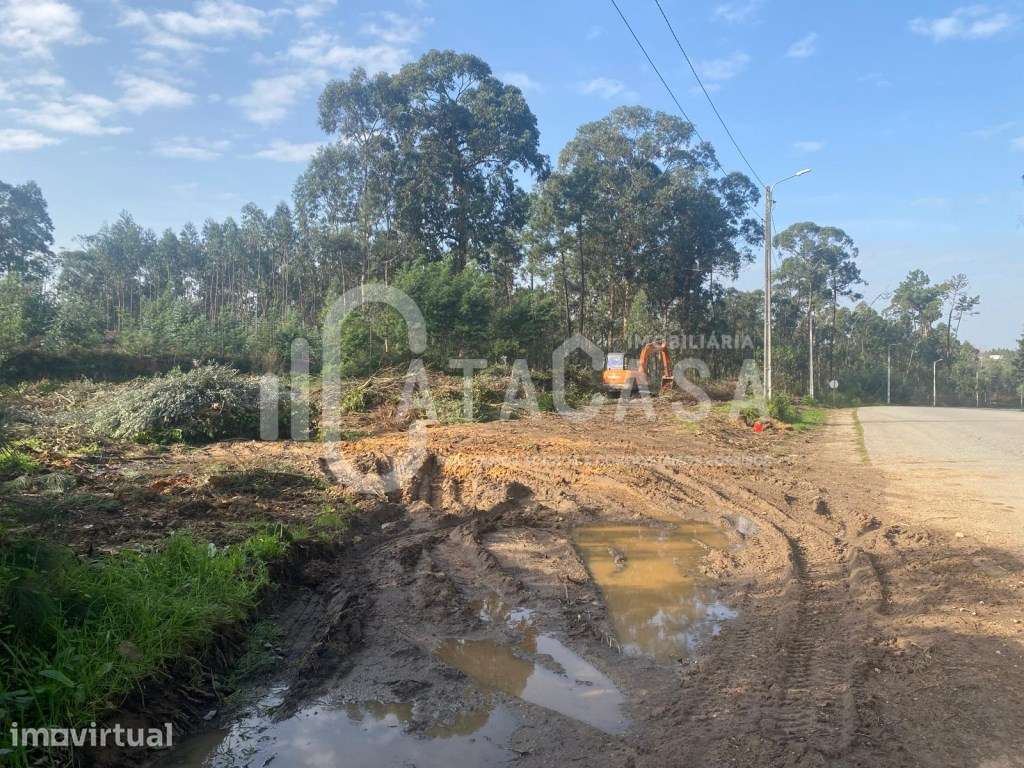Terreno Rústico para venda no concelho de Águeda - Grande imagem: 2/5