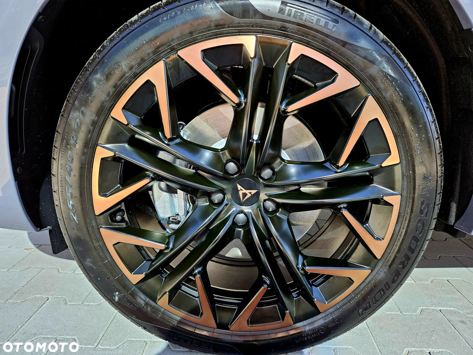 Cupra Terramar - 10