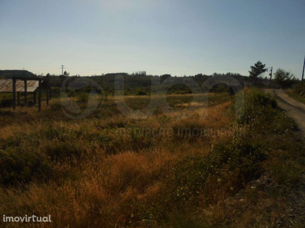 Armazém e Terreno em Mangualde - Grande imagem: 5/7