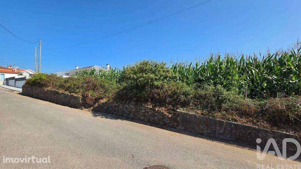Terreno para construção em Beduído e Veiros de 1160,00 m2 - Grande imagem: 3/3