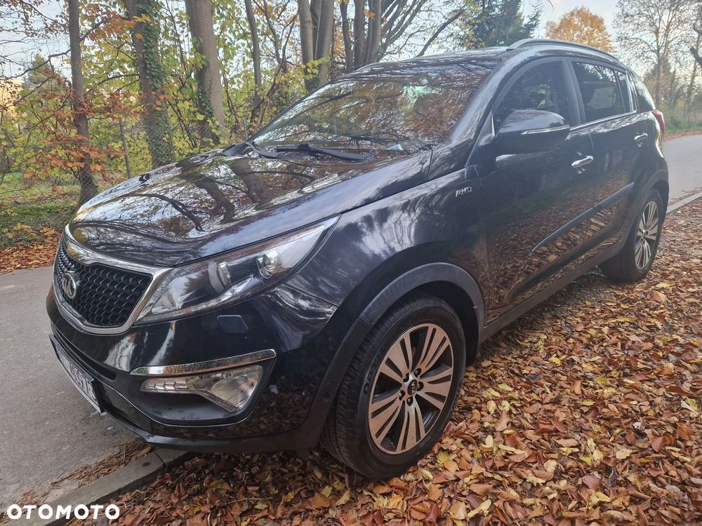 Kia Sportage - 15