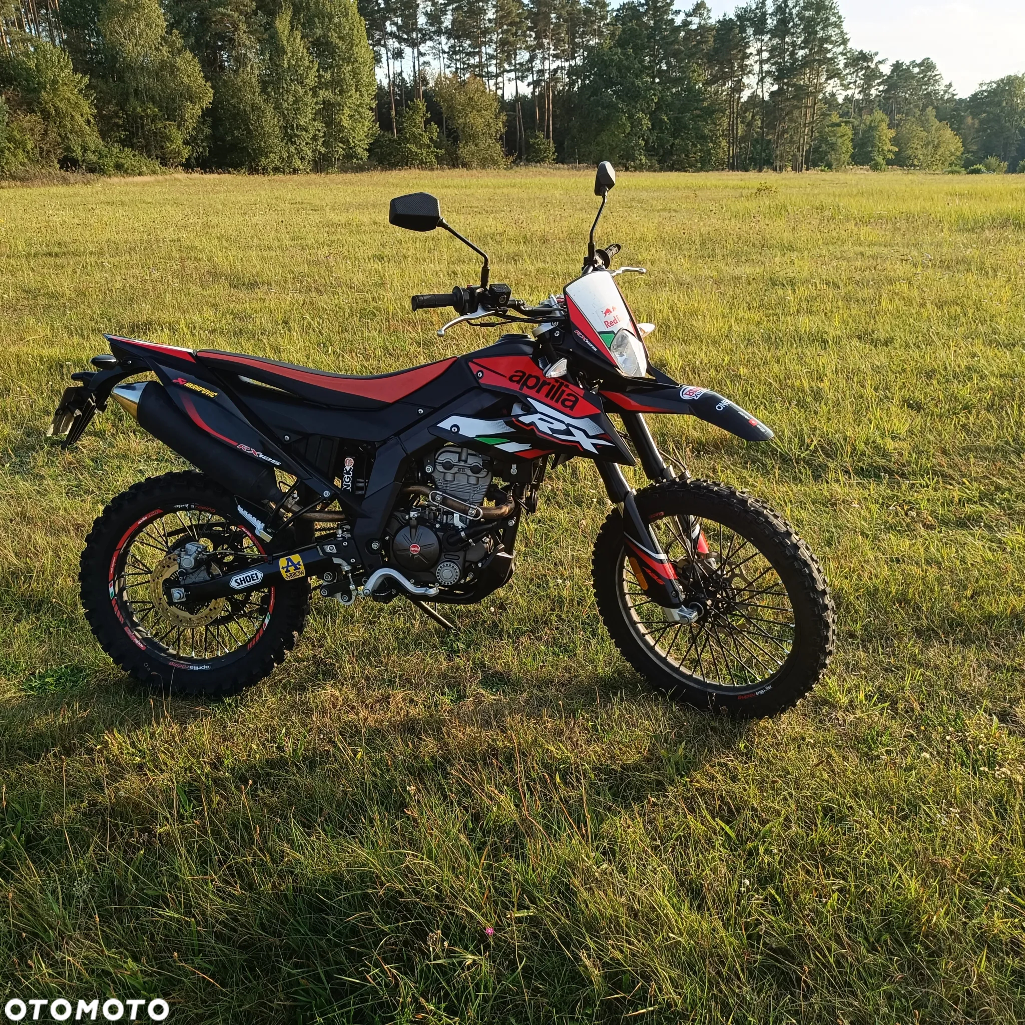 Aprilia RX