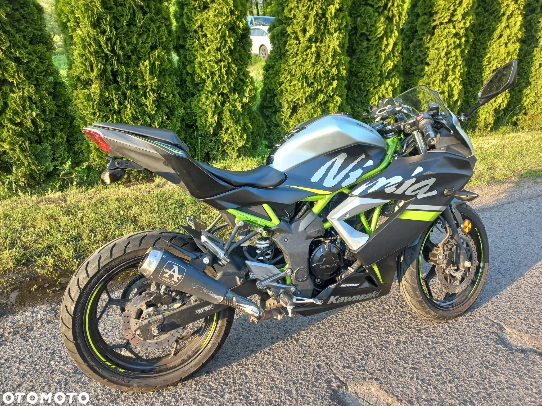 Kawasaki Ninja - 6
