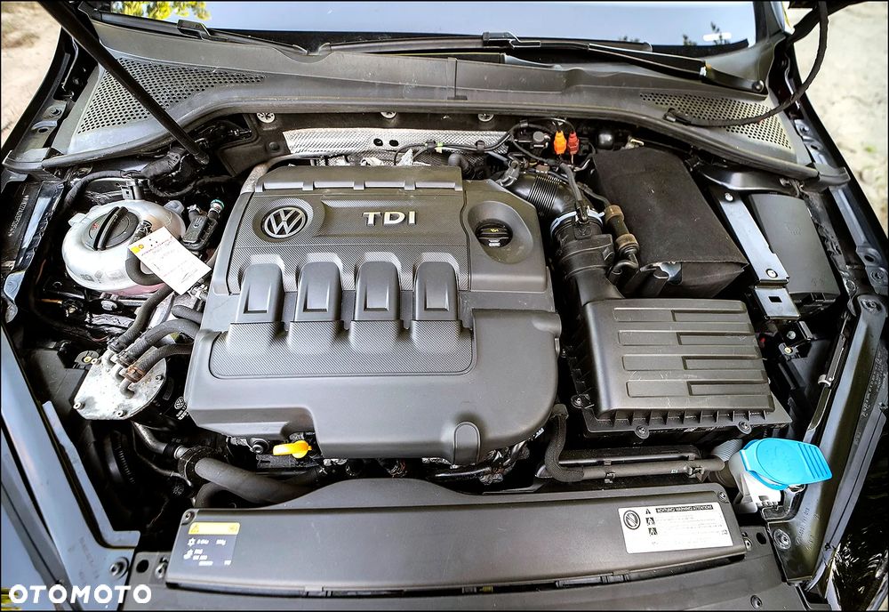 Volkswagen Golf - 40
