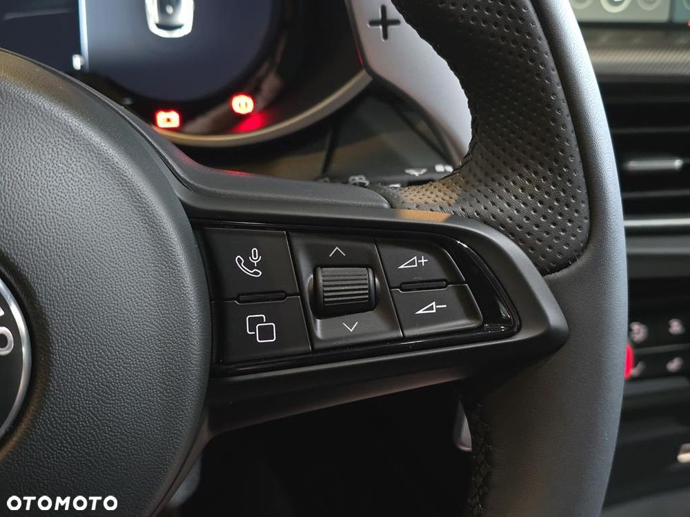 Alfa Romeo Stelvio 2.0 Turbo Veloce Q4 - 21