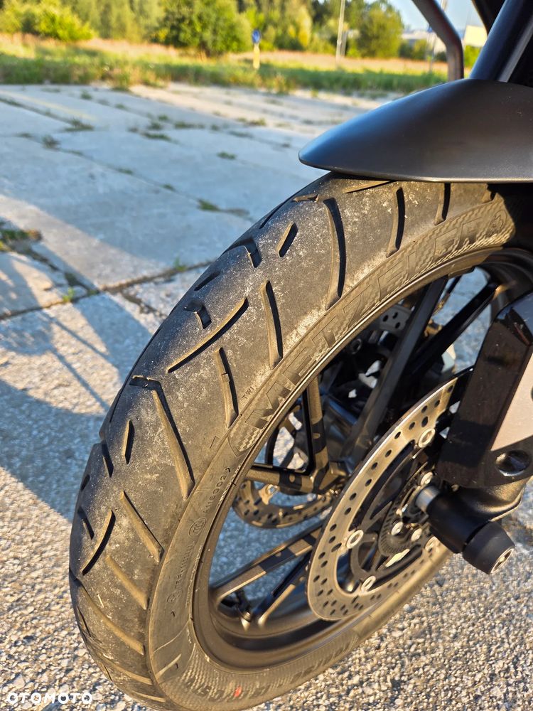 Triumph Tiger - 14
